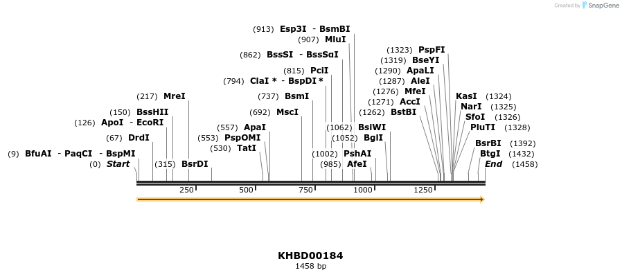 40904_map