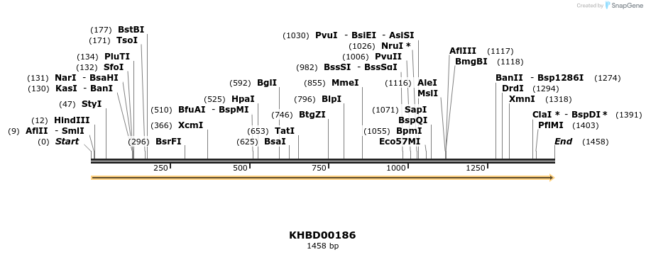 40905_map