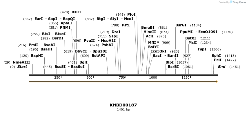 40906_map