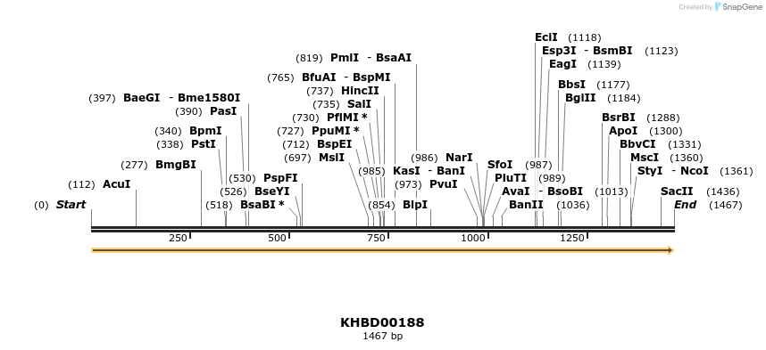 40907_map