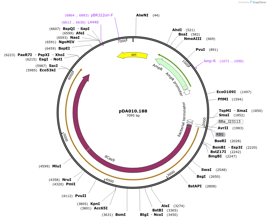 409070_map