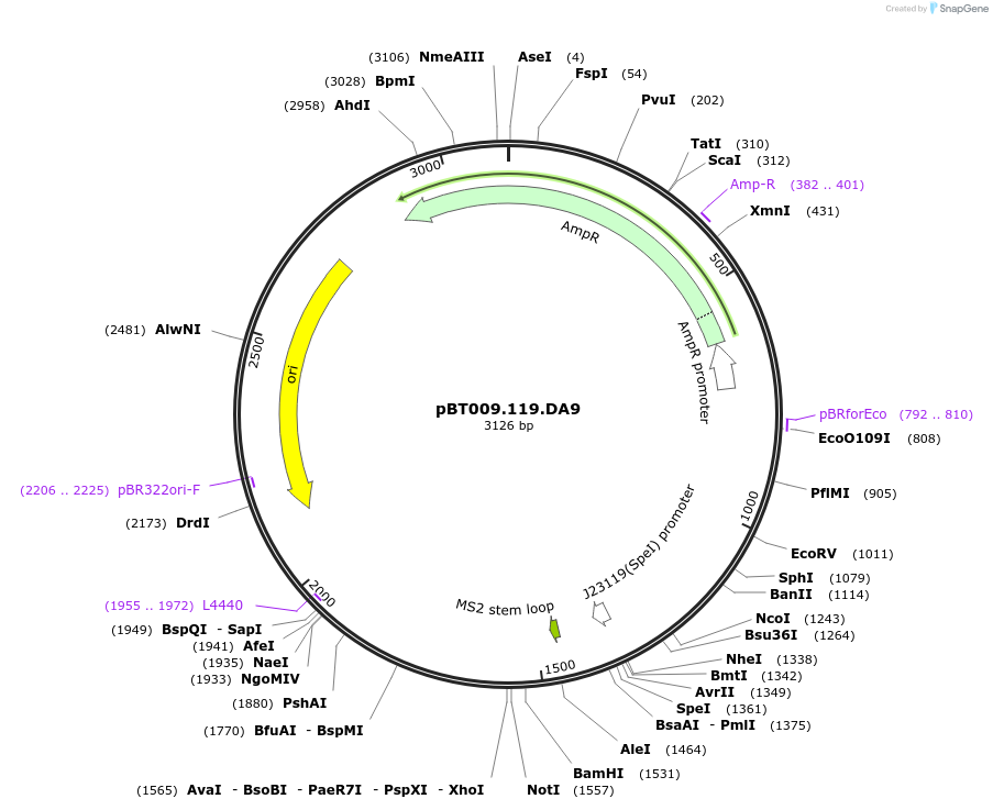 409071_map