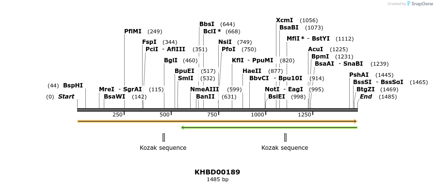40908_map