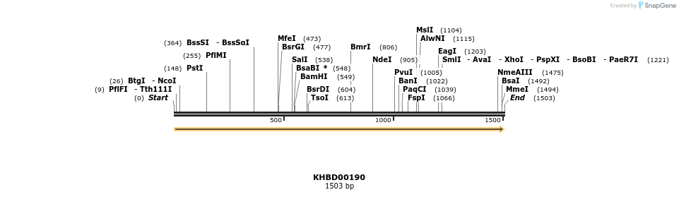 40909_map