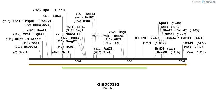 40910_map