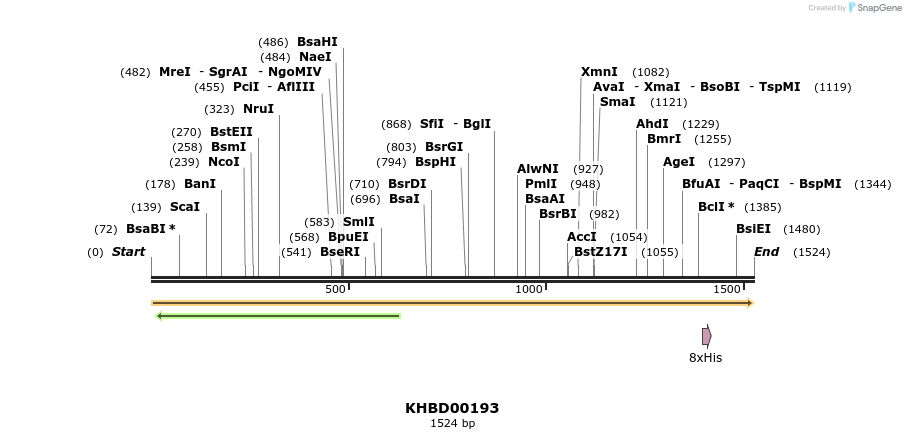 40911_map