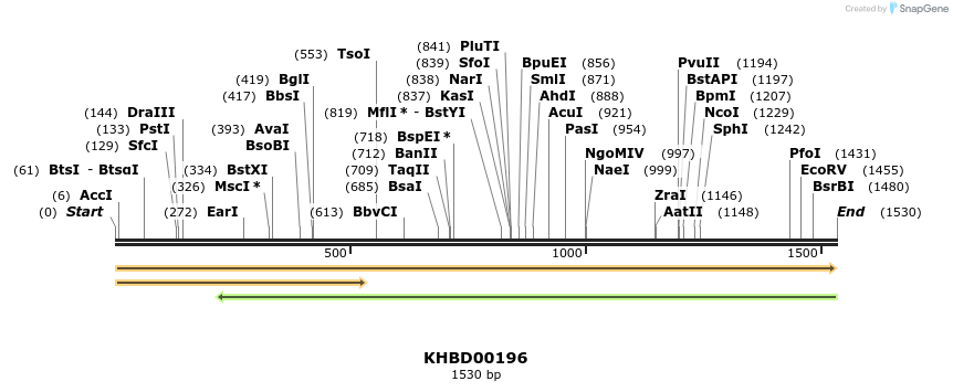 40914_map