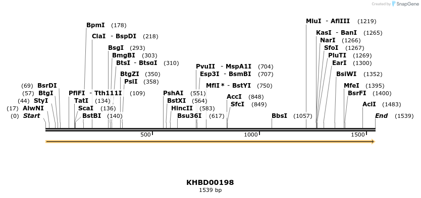 40916_map