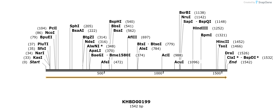 40917_map