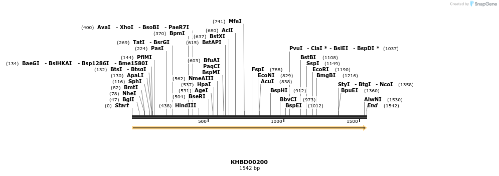 40918_map
