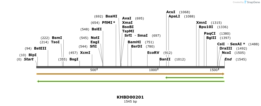 40919_map