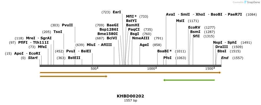 40920_map