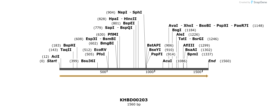 40921_map