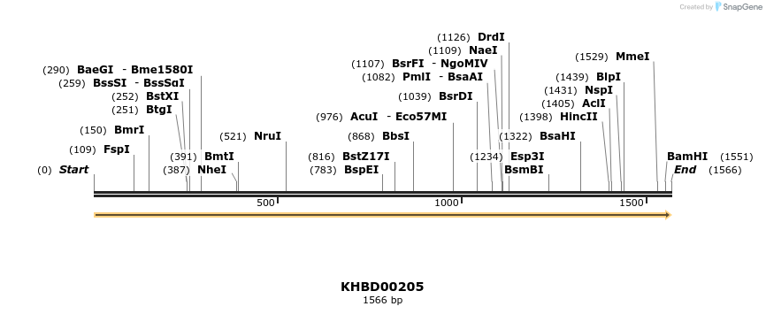40923_map