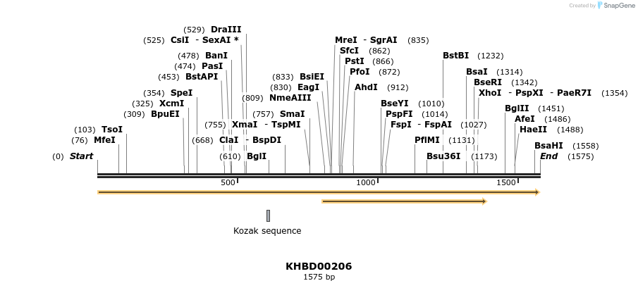 40924_map