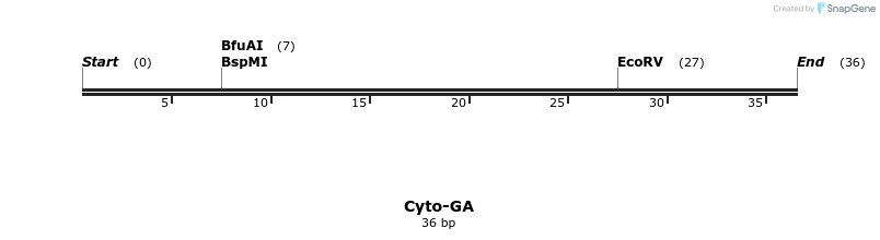 409247_map