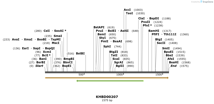40925_map