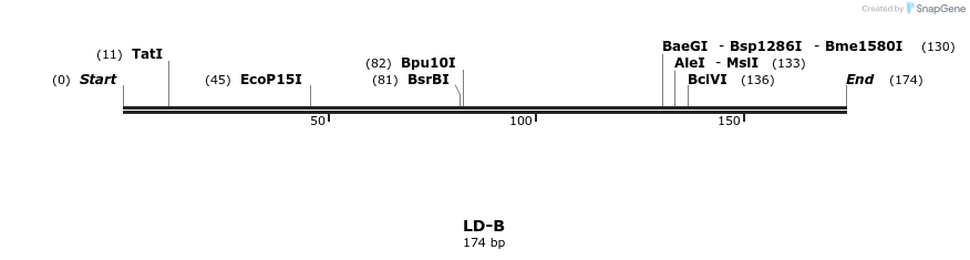 409253_map