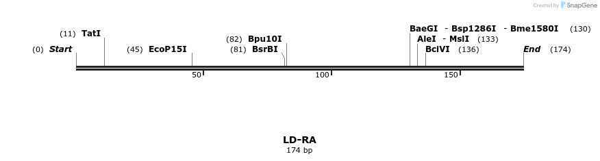 409259_map