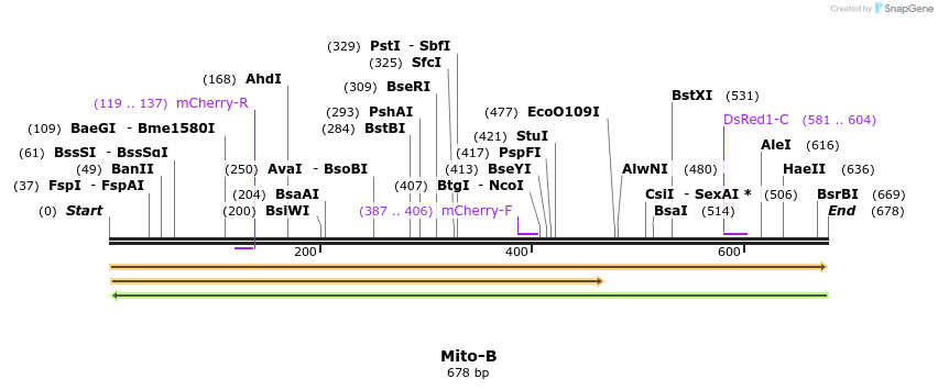 409261_map