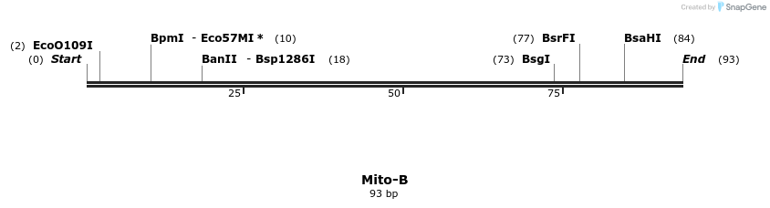 409262_map