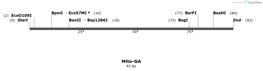 409265_map
