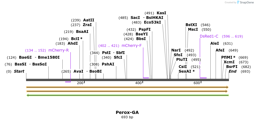 409273_map