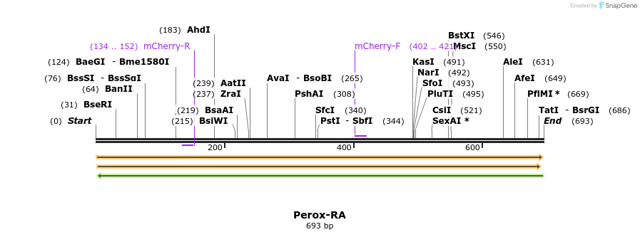 409276_map