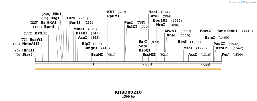 40928_map