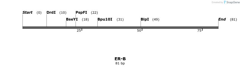 409280_map