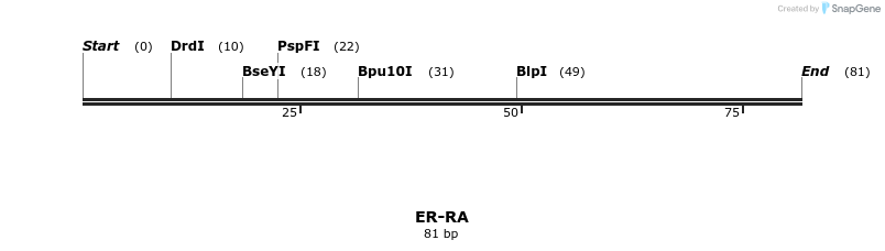 409286_map