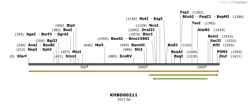 40929_map