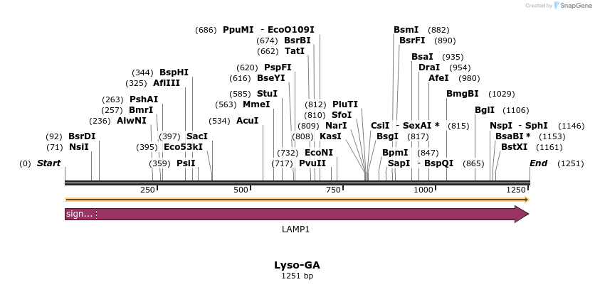 409292_map