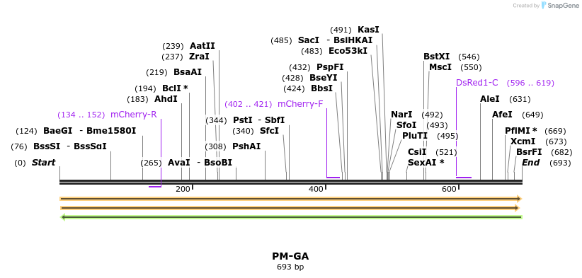 409300_map