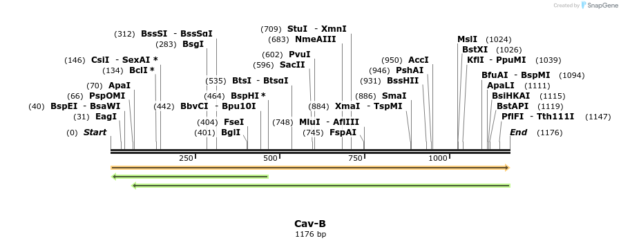 409307_map