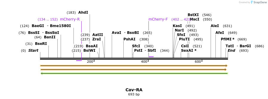 409312_map
