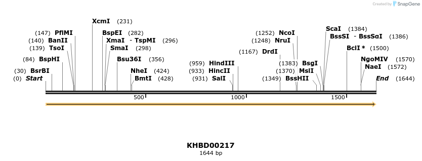 40933_map