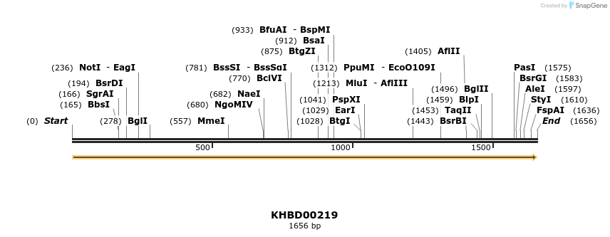 40934_map