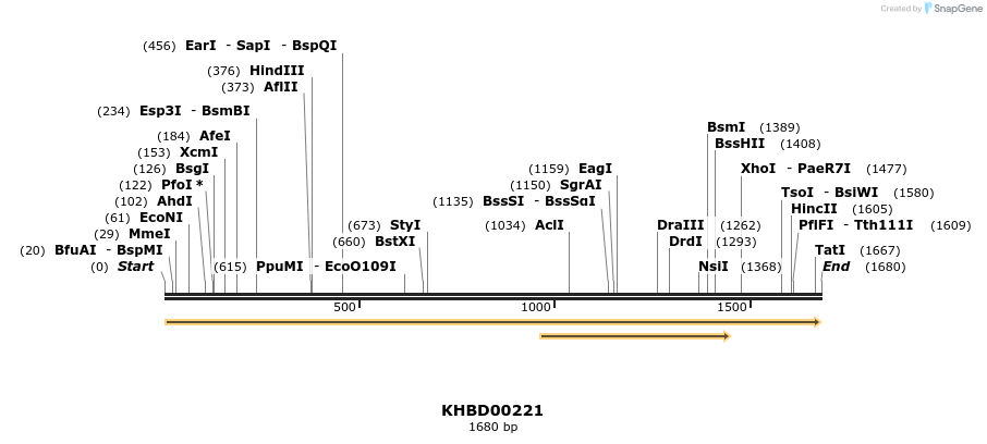 40936_map