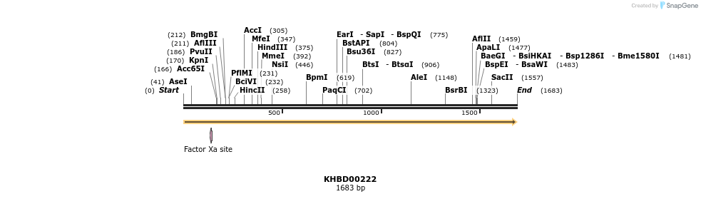 40937_map