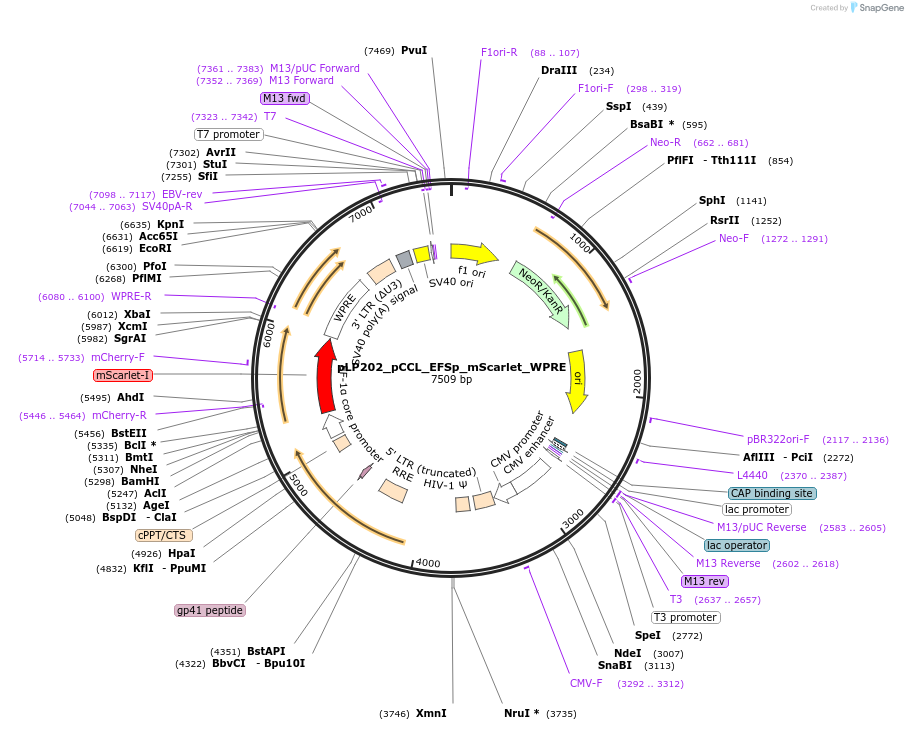409372_map
