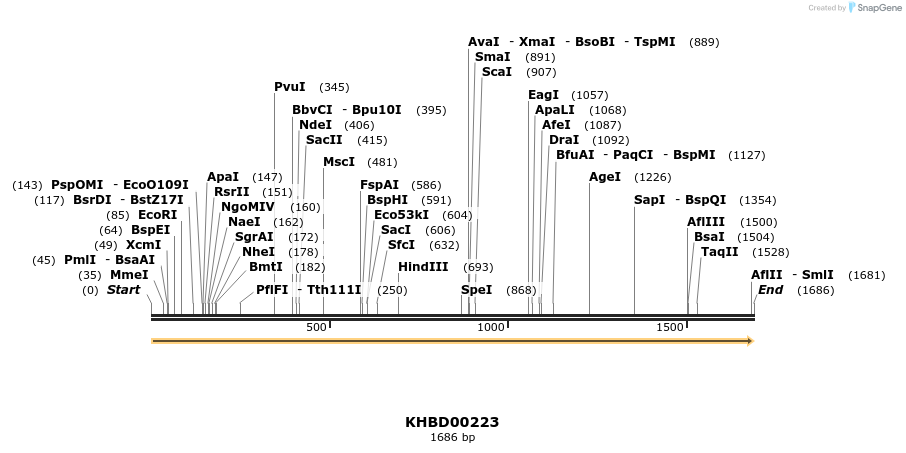 40938_map