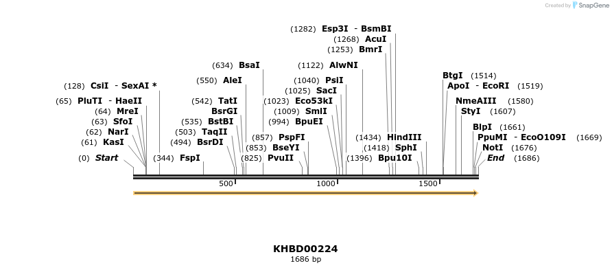 40939_map
