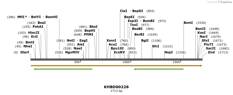40941_map