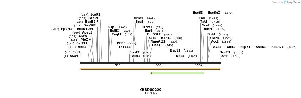 40942_map