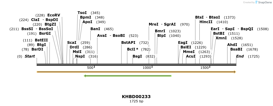 40944_map