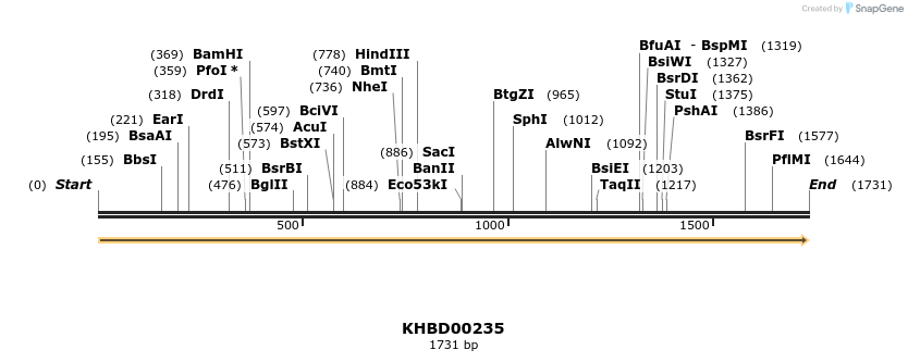 40945_map