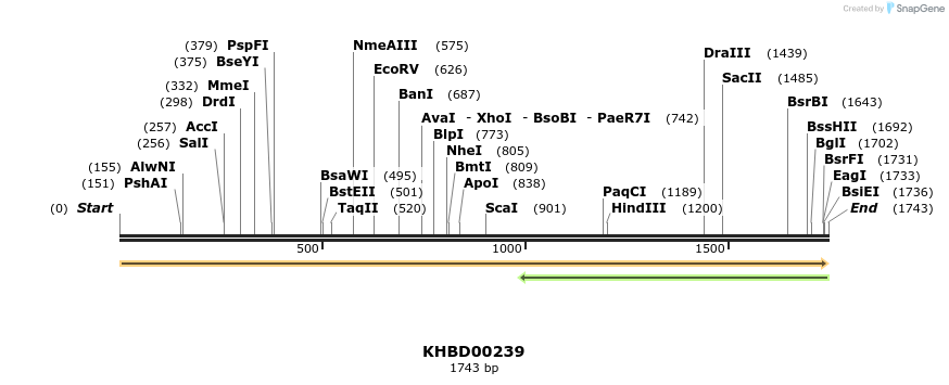 40946_map