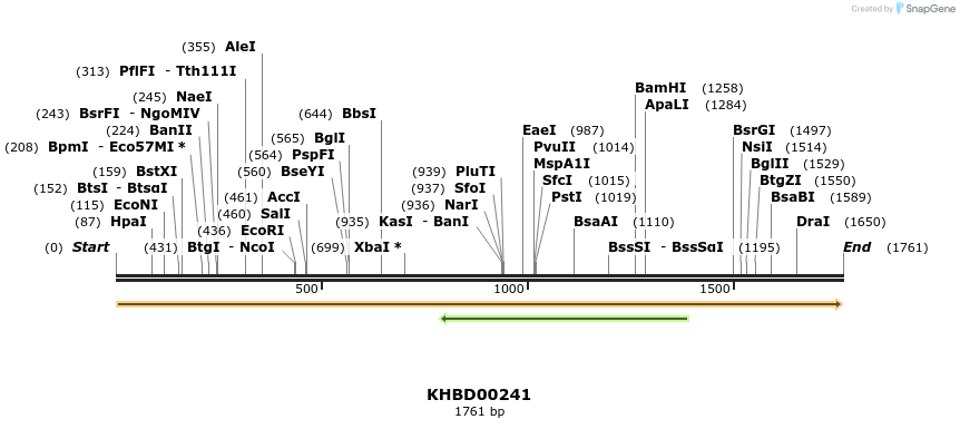 40947_map