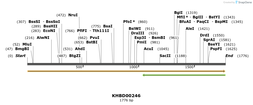 40948_map